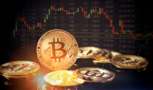 How Much Money Should Beginners Invest in Crypto?